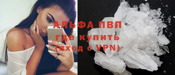 стафф Каменск-Шахтинский
