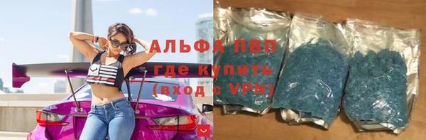 стафф Каменск-Шахтинский