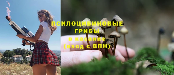 стафф Каменск-Шахтинский