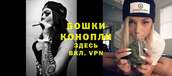 стафф Каменск-Шахтинский