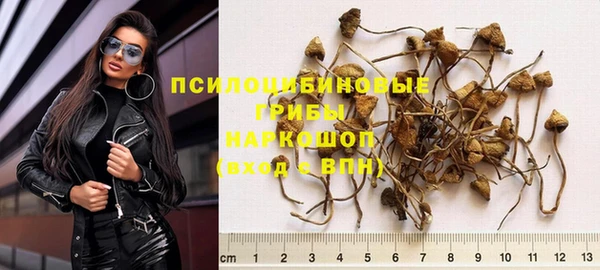 мескалин Каменка