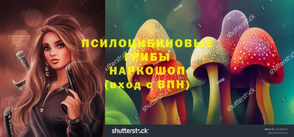мескалин Каменка