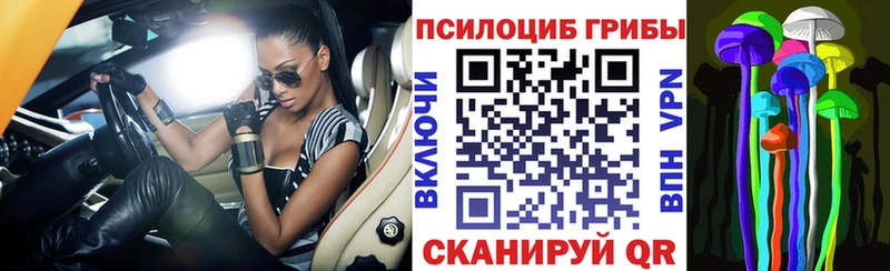 Псилоцибиновые грибы Magic Shrooms  Купить  Карабулак 